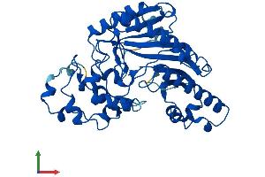 Protein Structure (PS) image for Creatine Kinase, Muscle (CKM) (AA 1-381) protein (His tag) (ABIN7548812)