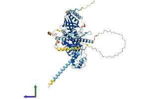 Protein Structure (PS) image for EPS8-Like 1 (EPS8L1) (AA 1-716) protein (His tag) (ABIN7559781)