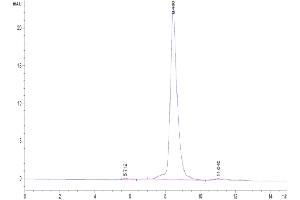 The purity of Biotinylated Human CD3E&CD3D is greater than 95 % as determined by SEC-HPLC. (CD3D & CD3E (AA 23-120) protein (His tag,Biotin))