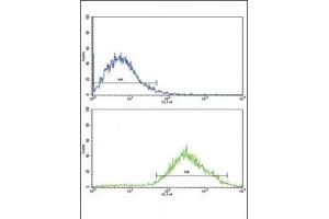 Flow cytometric analysis of Jurkat cells using DDR2 antibody (bottom histogram) compared to a negative control (top histogram). (DDR2 抗体)
