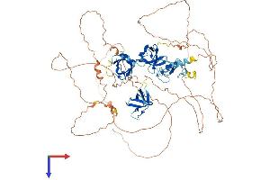 SH3RF2 Protein (AA 1-729) (His tag)