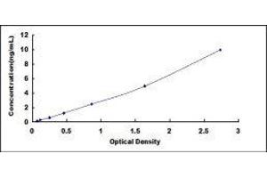 Glypican 2 (GPC2) ELISA Kit
