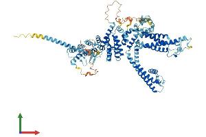 Protein Structure (PS) image for Transient Receptor Potential Cation Channel, Subfamily C, Member 7 (TRPC7) (AA 1-862) protein (His tag) (ABIN7565237)