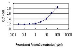 Detection limit for recombinant GST tagged DDT is approximately 3ng/ml as a capture antibody. (DDT 抗体  (AA 1-118))