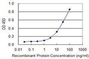 Detection limit for recombinant GST tagged TOB2 is 0. (TOB2 抗体  (AA 1-344))