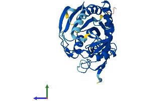 Protein Structure (PS) image for Methylthioadenosine phosphorylase (MTAP) (AA 1-283) protein (His tag) (ABIN7549589)