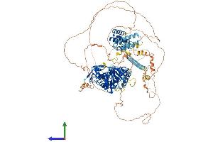 Protein Structure (PS) image for Budding Uninhibited By Benzimidazoles 1 Homolog (Yeast) (BUB1) (AA 1-1085) protein (His tag) (ABIN7552819)
