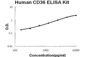 Human CD36/SR-B3 Accusignal ELISA Kit Human CD36/SR-B3 AccuSignal ELISA Kit standard curve. (CD36 (SR-B3) ELISA 试剂盒)