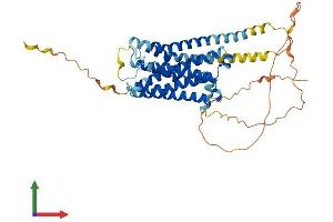 AlphaFold protein structure predicition of Human Recombinant HTR6 Protein, UniprotID P50406