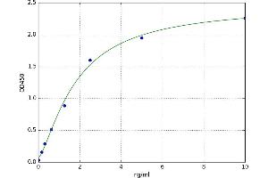 Yip1 Interacting Factor Homolog B (YIF1B) ELISA Kit
