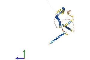 AlphaFold protein structure predicition of Human Recombinant CDR2 Protein, UniprotID Q01850