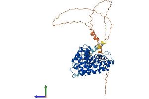 Protein Structure (PS) image for Armadillo Repeat Containing, X-Linked 1 (ARMCX1) (AA 1-456) protein (His tag) (ABIN7560706)