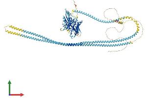 Protein Structure (PS) image for Kinesin Family Member 11 (KIF11) (AA 1-1056) protein (His tag) (ABIN7554309)