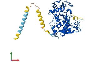 Protein Structure (PS) image for ST3 beta-Galactoside alpha-2,3-Sialyltransferase 1 (ST3GAL1) (AA 1-340) protein (His tag) (ABIN7546055)