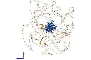 Protein Structure (PS) image for Insulin Receptor Substrate 2 (IRS2) (AA 1-1338) protein (His tag) (ABIN7554179)