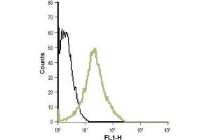 Cell surface detection of LTB4R in live intact human promyelocytic leukemia HL-60 cell line: (black line) Unstained HL-60 cells (green line) HL-60 cells + Anti-Human BLT1 (extracellular)- ATTO-488 Antibody (ABIN7043308), (1:20). (Leukotriene B4 Receptor/BLT 抗体  (2nd Extracellular Loop) (Atto 488))