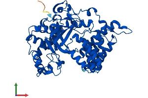 AlphaFold protein structure predicition of Mouse Recombinant Smyd2 Protein, UniprotID Q8R5A0