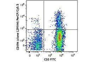 Flow Cytometry (FACS) image for anti-Chemokine (C-C Motif) Receptor 4 (CCR4) antibody (PerCP-Cy5.5) (ABIN2660016) (CCR4 抗体  (PerCP-Cy5.5))