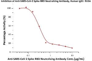 Immobilized Human ACE2, His Tag (ABIN6952641) at 2 μg/mL (100 μL/well) can bind pre-mixed increasing concentrations of Anti-SARS-CoV-2 Neutralizing Antibody, Mouse IgG1 (ABIN6953206) and 0. (SARS-CoV-2 Spike S1 抗体)