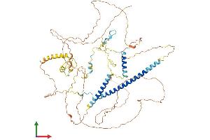 Protein Structure (PS) image for Ring Finger Protein 169 (RNF169) (AA 1-694) protein (His tag) (ABIN7562135)
