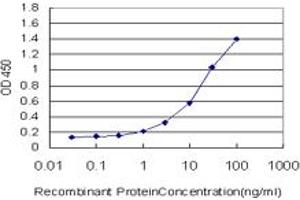 Detection limit for recombinant GST tagged FZD2 is approximately 1ng/ml as a capture antibody. (FZD2 抗体  (AA 192-245))