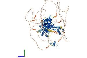 Protein Structure (PS) image for OTU Domain Containing 7A (OTUD7A) (AA 1-926) protein (His tag) (ABIN7559774)
