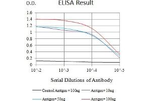 Black line: Control Antigen (100 ng),Purple line: Antigen (10 ng), Blue line: Antigen (50 ng), Red line:Antigen (100 ng) (LRP8 抗体  (AA 42-182))