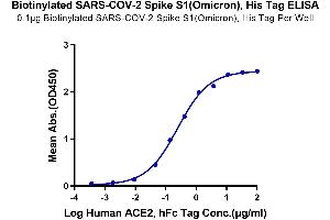ELISA image for SARS-CoV-2 Spike S1 (B.1.1.529 - Omicron) protein (His-Avi Tag,Biotin) (ABIN7274405)