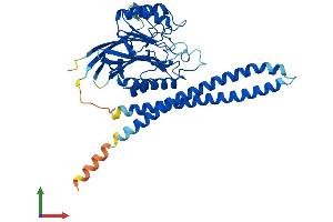 Protein Structure (PS) image for Sphingomyelin phosphodiesterase 2, Neutral Membrane (Neutral Sphingomyelinase) (SMPD2) (AA 1-419) protein (His tag) (ABIN7562574)