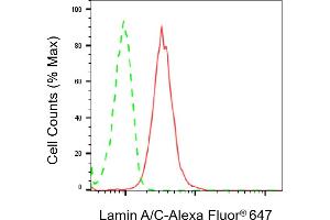 Flow cytometric analysis of Lamin A/C expression in HeLa cells using Lamin A/C antibody (ABIN7799227), 1:2,000). (Lamin A/C 抗体)