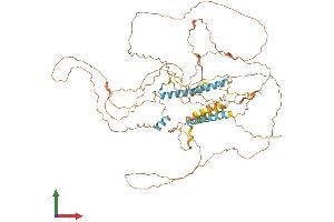 Protein Structure (PS) image for Trophinin Associated Protein (TROAP) (AA 1-668) protein (His tag) (ABIN7562071)