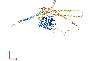 Protein Structure (PS) image for Gliomedin (GLDN) (AA 1-551) protein (His tag) (ABIN7554015)