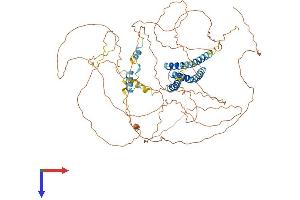 CEP68 Protein (AA 1-733) (His tag)