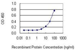 Detection limit for recombinant GST tagged THG1L is 1 ng/ml as a capture antibody. (THG1L 抗体  (AA 1-269))