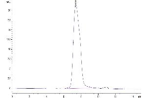 Size-exclusion chromatography-High Pressure Liquid Chromatography (SEC-HPLC) image for Chemokine (C-X3-C Motif) Ligand 1 (CX3CL1) (AA 25-341) protein (His tag) (ABIN7274439)