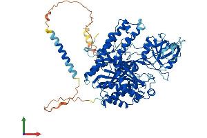 AlphaFold protein structure predicition of Mouse Recombinant Tfrc Protein, UniprotID Q62351 (Transferrin Receptor Protein (AA 1-763) (His tag))