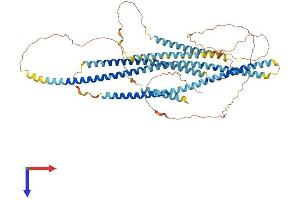 AlphaFold protein structure predicition of Human Recombinant GOLGA8M Protein, UniprotID H3BSY2 (GOLGA8M Protein (AA 1-632) (His tag))