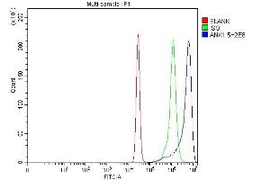 Flow Cytometry analysis of K562 cells using anti-Ankyrin erythroid/ANK/ANK1 antibody (ABIN7599957).