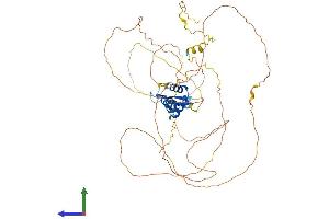Protein Structure (PS) image for Forkhead Box O6 (Foxo6) (AA 1-559) protein (His tag) (ABIN7558150)