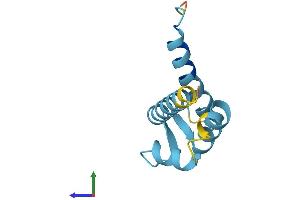 AlphaFold protein structure predicition of Human Recombinant S100A13 Protein, UniprotID Q99584