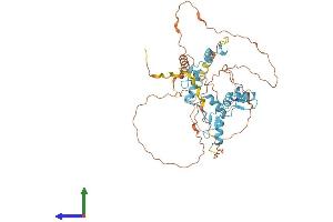 AlphaFold protein structure predicition of Mouse Recombinant Fezf1 Protein, UniprotID Q0VDQ9