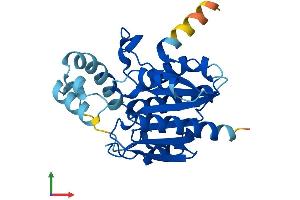 AlphaFold protein structure predicition of Mouse Recombinant Olah Protein, UniprotID Q8R197