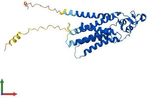 Protein Structure (PS) image for Phosphatidic Acid Phosphatase Type 2B (PPAP2B) (AA 1-312) protein (His tag) (ABIN7560328)
