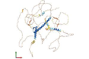 AlphaFold protein structure predicition of Human Recombinant TCF12 Protein, UniprotID Q99081