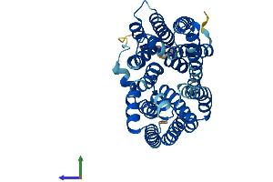 Protein Structure (PS) image for Solute Carrier Family 22 Member 18 (SLC22A18) (AA 1-406) protein (His tag) (ABIN7558175)