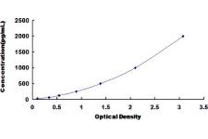 Typical standard curve (Peroxiredoxin 5 ELISA 试剂盒)