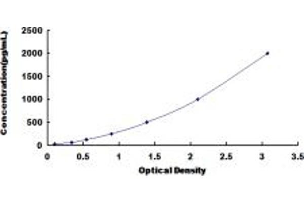 Peroxiredoxin 5 ELISA 试剂盒