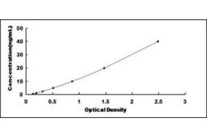 Typical standard curve (TLL1 ELISA 试剂盒)