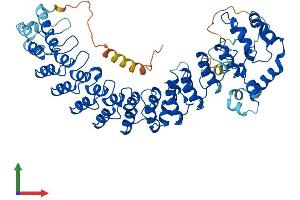 Protein Structure (PS) image for Ankyrin Repeat and SOCS Box Containing 14 (ASB14) (AA 1-587) protein (His tag) (ABIN7559176)