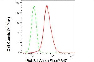 Flow cytometric analysis of BubR1 expression in HepG2 cells using BubR1 antibody (ABIN7797805), 1:2,000). (Recombinant BUB1B 抗体)